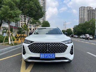 魏牌摩卡 2.0T 自动 特醇版 