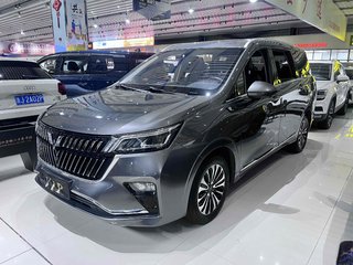 五菱佳辰 1.5T 自动 尊享旗舰型 