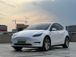 特斯拉MODEL Y 0.0T 自动 标准续航版 