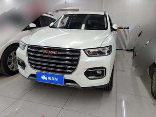 哈弗H6 2.0T 豪华型 