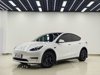 特斯拉MODEL Y 0.0T 自动 改款后轮驱动版 