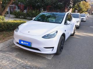 特斯拉MODEL Y 0.0T 自动 后驱版 