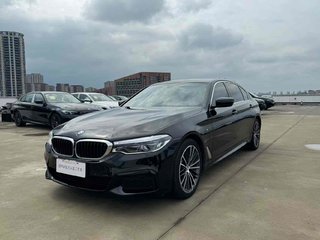 宝马5系 530Li 2.0T 自动 尊享型M运动套装 