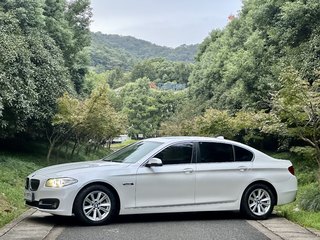 宝马5系 520Li 2.0T 自动 典雅型 