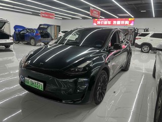 特斯拉MODEL Y 0.0T 自动 后驱版 