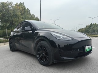 特斯拉MODEL Y 0.0T 自动 后驱版 