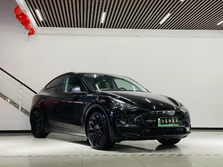 特斯拉MODEL Y 0.0T 自动 改款长续航全轮驱动版 