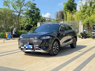 魏牌摩卡 2.0T 自动 特醇版 