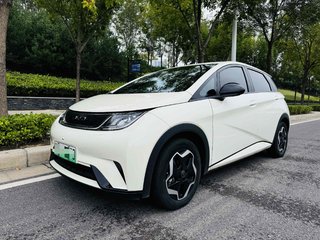 比亚迪海豚 0.0T 