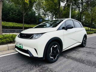 比亚迪海豚 0.0T 自动 自由版 