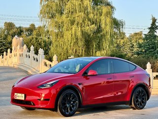 特斯拉MODEL Y 0.0T 自动 改款后轮驱动版 