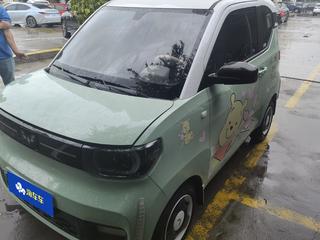 五菱宏光MINI EV 自动 臻享款 