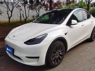 特斯拉MODEL Y 0.0T 自动 后驱版 