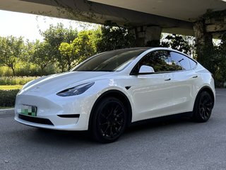 特斯拉MODEL Y 0.0T 自动 改款后轮驱动版 