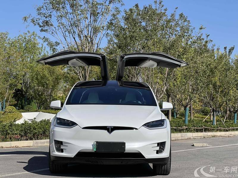 特斯拉MODEL X [进口] 2017款 自动 100D长续航版 纯电动 