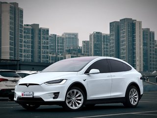 特斯拉MODEL X 自动 100D长续航版 