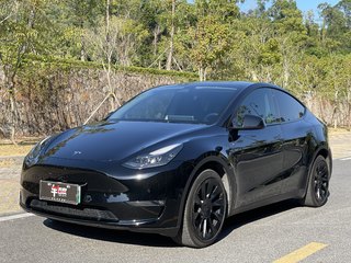 特斯拉MODEL Y 0.0T 自动 长续航版四驱 