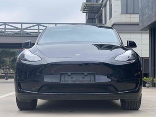 特斯拉MODEL Y 0.0T 自动 后驱版 