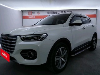 哈弗哈弗H6 红标 2.0T 自动 智尚型 