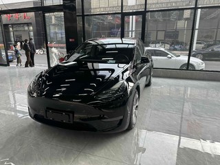 特斯拉MODEL Y 0.0T 