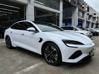 比亚迪海豹 0.0T 自动 550km标准续航版尊贵型 