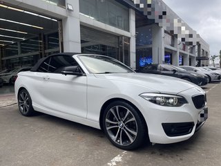 宝马2系敞篷 225i 2.0T 自动 运动设计套装 