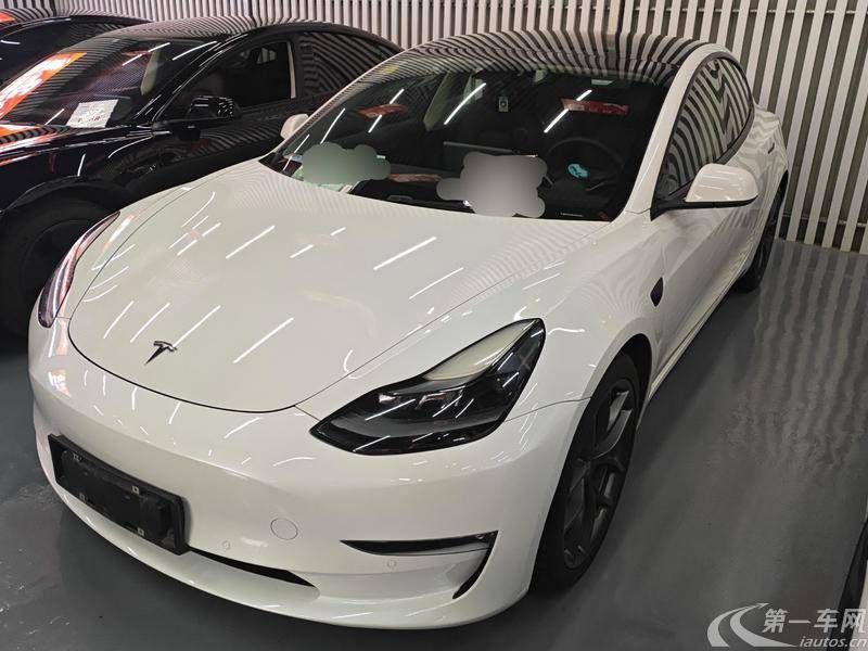 特斯拉MODEL 3 2021款 自动 Performance高性能全轮驱动版 纯电动 