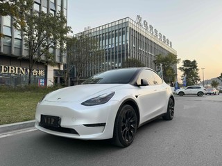 特斯拉MODEL Y 0.0T 