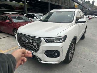 哈弗哈弗H6 2.0T 自动 铂金冠军版 