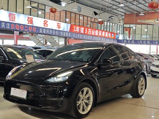 特斯拉MODEL Y 0.0T 