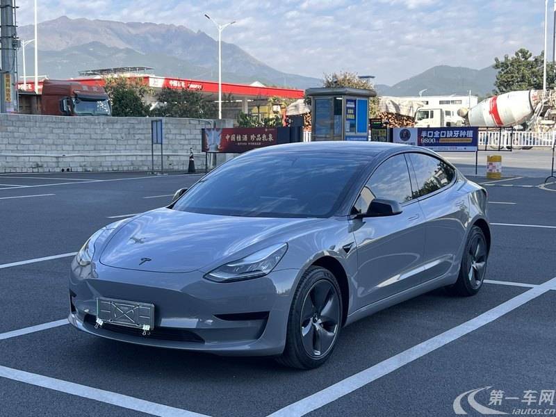 特斯拉MODEL 3 2020款 自动 长续航版 纯电动 