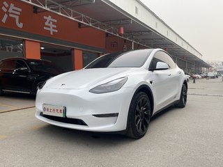 特斯拉MODEL Y 0.0T 