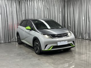 比亚迪海豚 0.0T 自动 自由版 