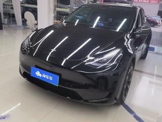 特斯拉MODEL Y 0.0T 