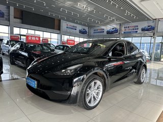 特斯拉MODEL Y 0.0T 