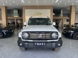 坦克坦克300 城市版 2.0T 自动 很有型 