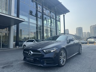 奔驰CLS级 CLS300 2.0T 自动 动感型 