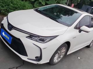 丰田卡罗拉 双擎 1.8L 自动 精英版 