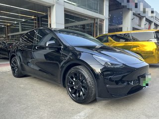 特斯拉MODEL Y 0.0T 自动 标准续航版 