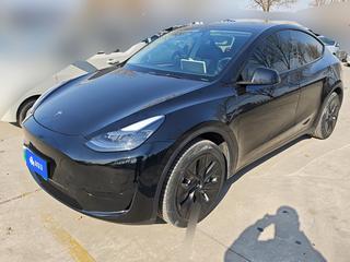 特斯拉MODEL Y 0.0T 