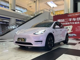 特斯拉MODEL Y 0.0T 