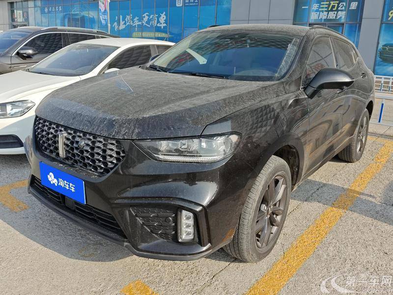 魏牌VV5 2020款 1.5T 自动 前驱 智先锋 (国Ⅵ) 