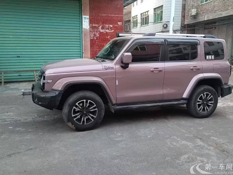 坦克坦克300 城市版 2021款 2.0T 自动 我看型 (国Ⅵ) 