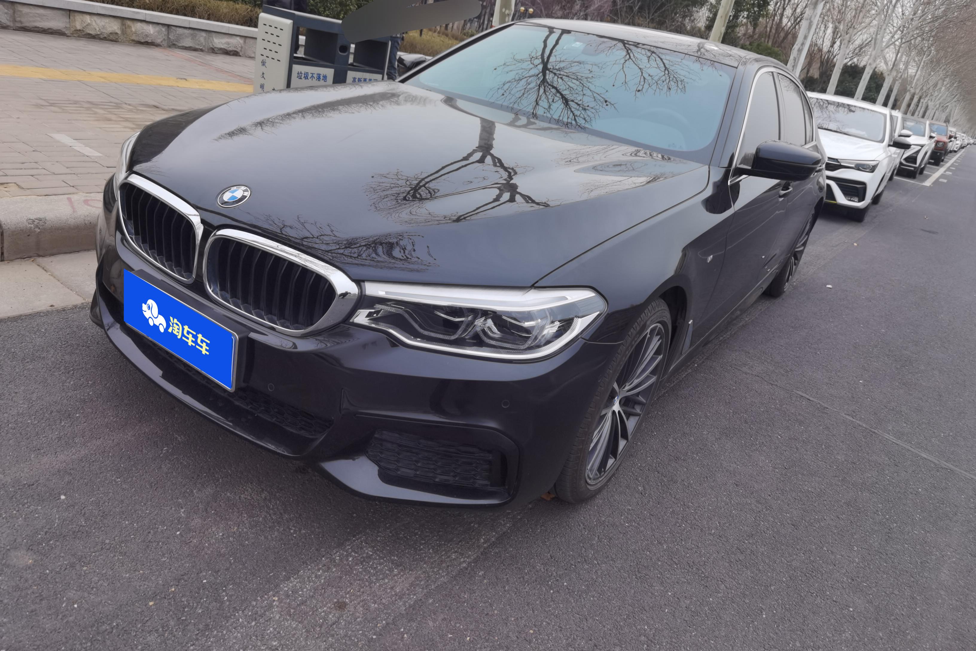 宝马5系 530Li 2020款 2.0T 自动 汽油 领先型豪华套装 价格0万