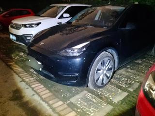 特斯拉MODEL Y 0.0T 