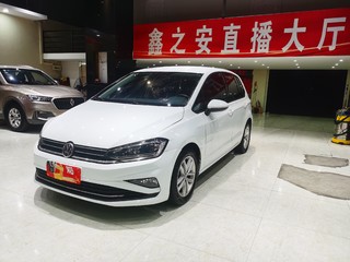 大众高尔夫·嘉旅 1.6L 自动 纯真型 