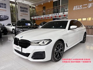宝马5系 530Li 2.0T 自动 尊享型M运动套装 