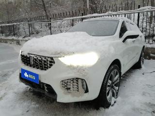 魏牌VV5 s 2.0T 自动 旗舰型 