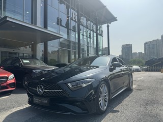 奔驰CLS级 CLS300 2.0T 自动 动感型 