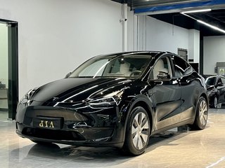 特斯拉MODEL Y 0.0T 
